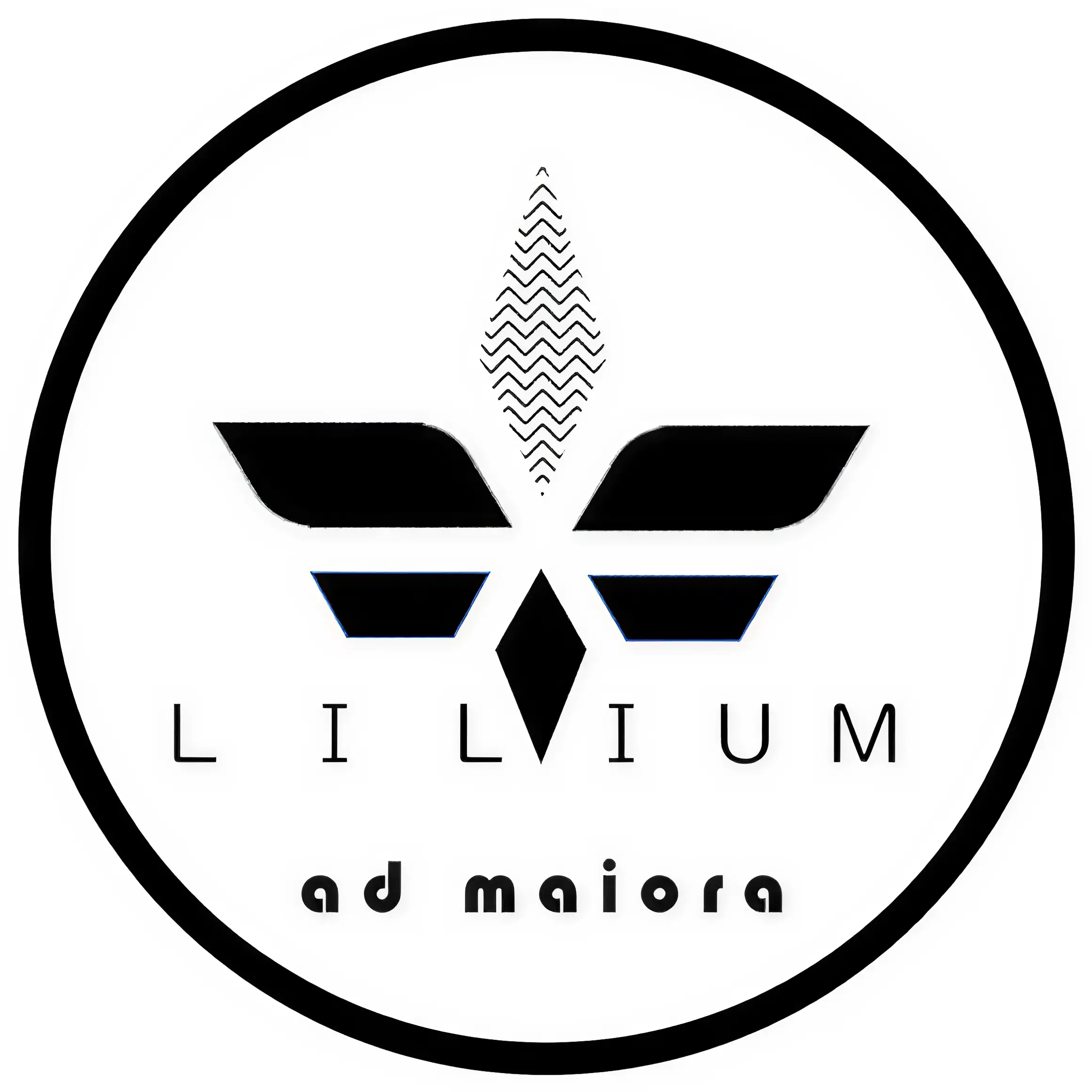 Enhanced Logo Comparison 2