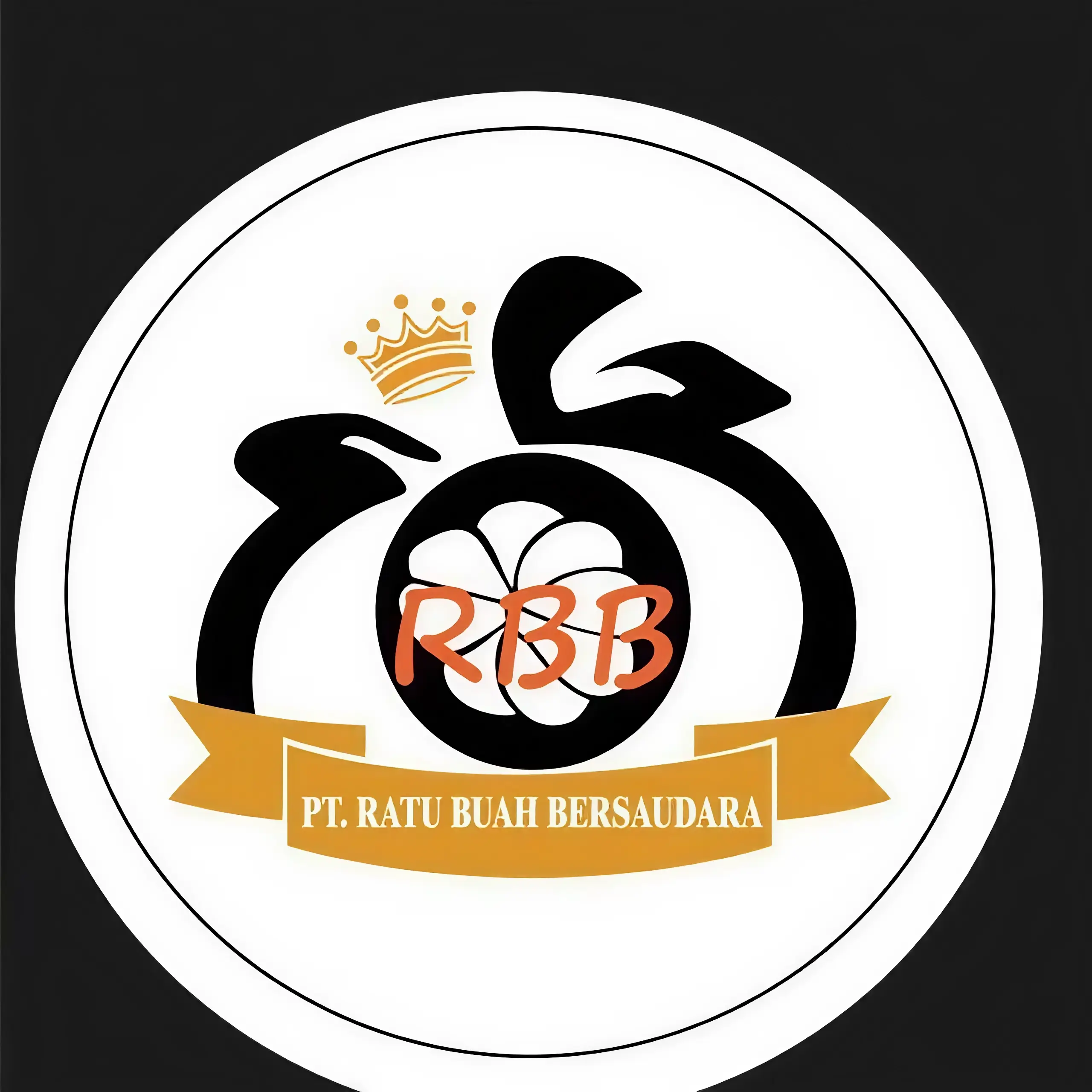 Enhanced Logo Comparison 3