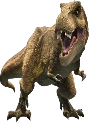 Original Vibrant Image