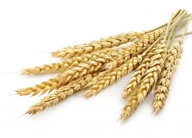 Original Noisy Image